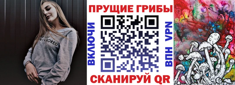 Псилоцибиновые грибы Psilocybine cubensis  что такое наркотик  Сибай 